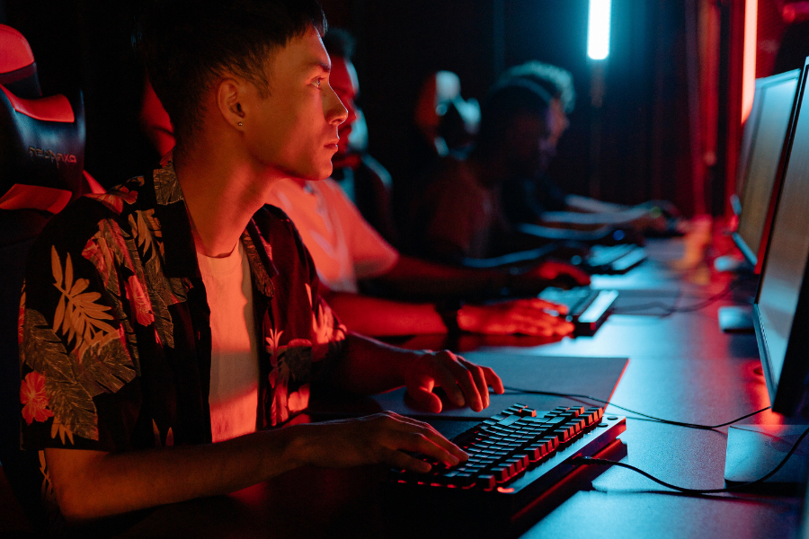 IT studies in Poland